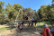 IMG-20240327-WA0102