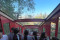 IMG-20240327-WA0020
